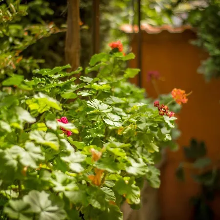 Хотел семеен свети илия