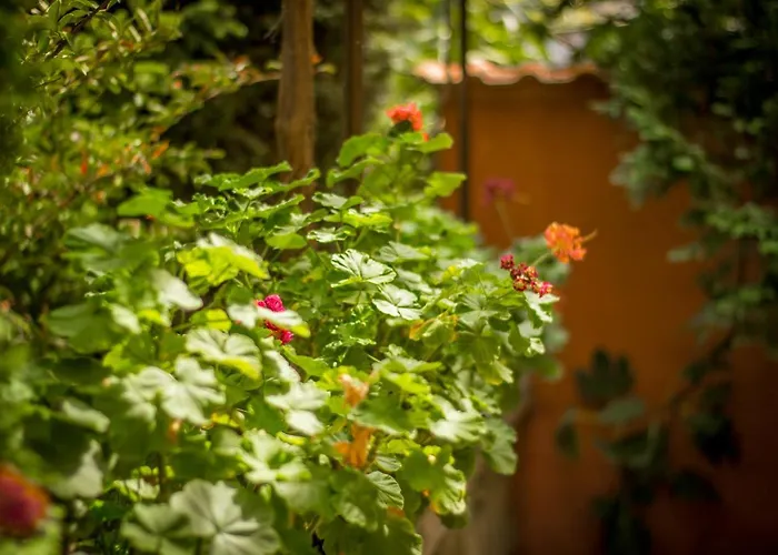 Хотел семеен свети илия